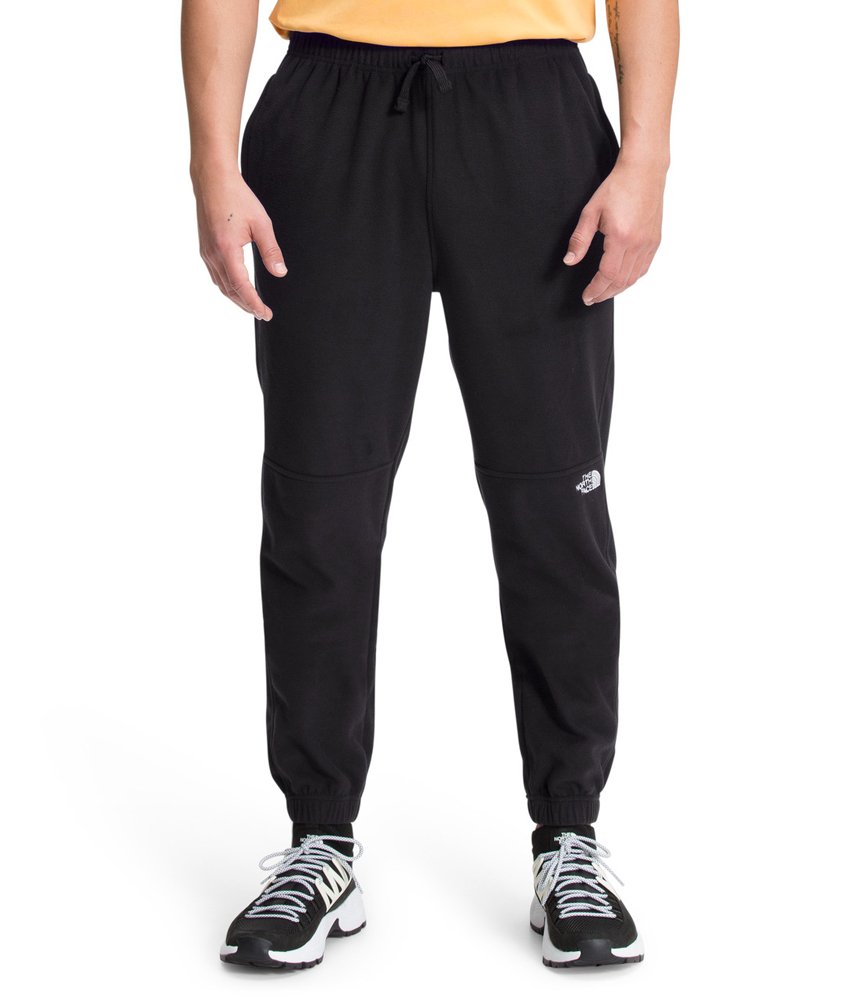 the north face men's fleece pants