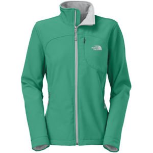 The north face on sale women's apex bionic jacket