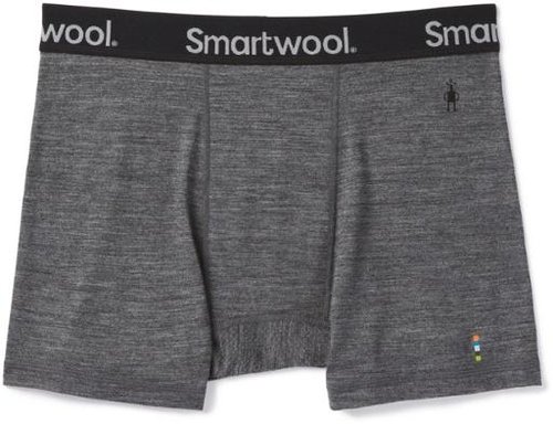 smartwool men's merino sport 150 boxer brief